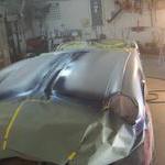 Starting the blue bonnet