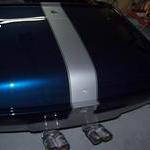 Trunk resting in place