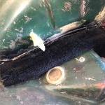 Voila Nice fit with no overspray