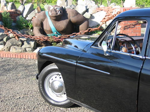 SteveZBMagnette Steven Hanegan