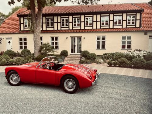 Terje Trygg Terje Trygg