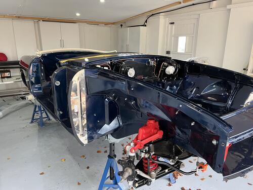 PJ the bear Peter Jones