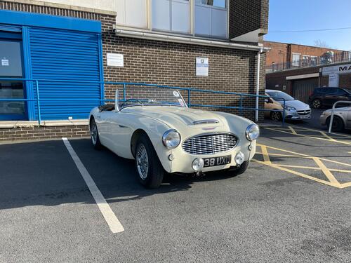 warrenbeese Warren Beese