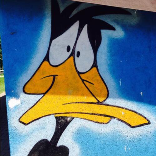 PeterBN2 Peter Grolimund