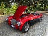 1956 Austin Healey 100M Red Black Igor Carino