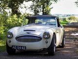 1962 Austin Healey 3000 BT7 Old English White Guillaume Savin