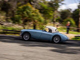 1955 Austin Healey 100 Healey Blue Becher Townshend