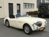 1955 Austin Healey 100 White David G