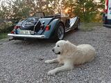 1996 Morgan Plus 8 8 Gr n Ivo Arnus